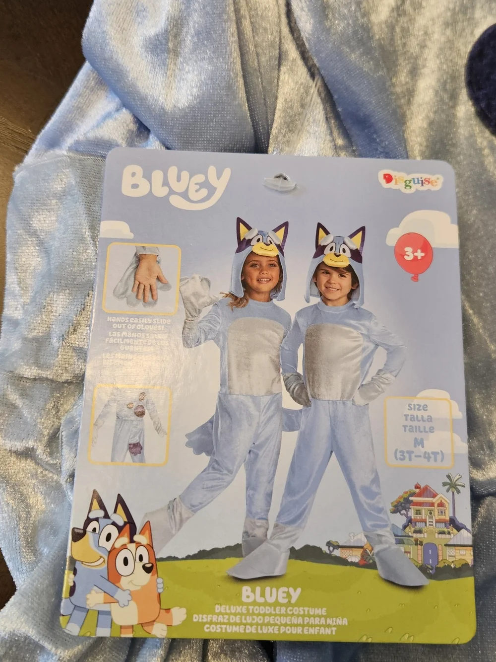 Bluey Character Kids Halloween Costume
